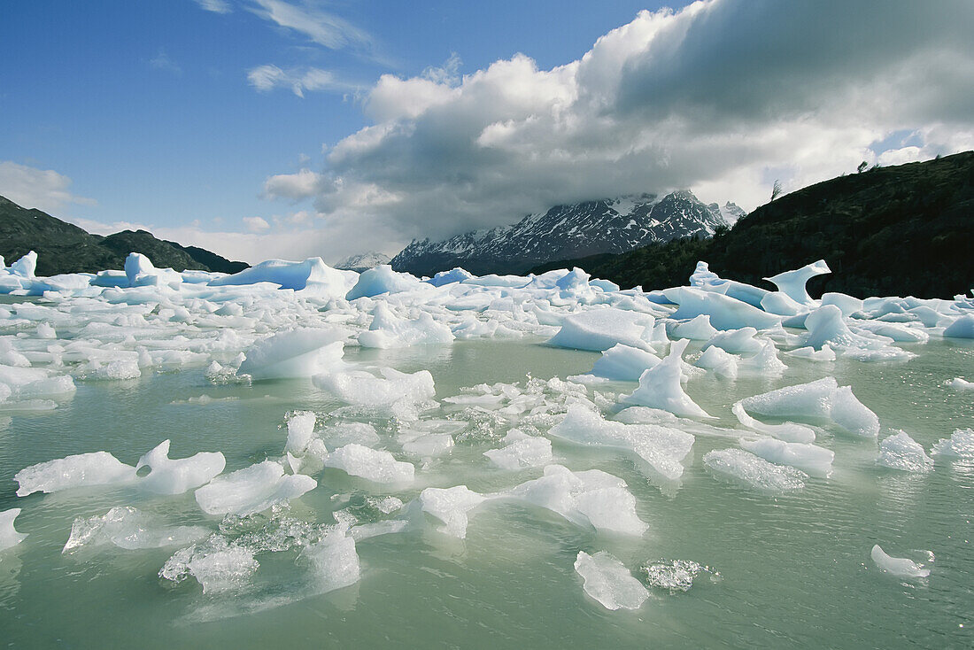 Icebergs and pieces of ice float in Torres del Paine National Park.; Torres del Paine, Chile.