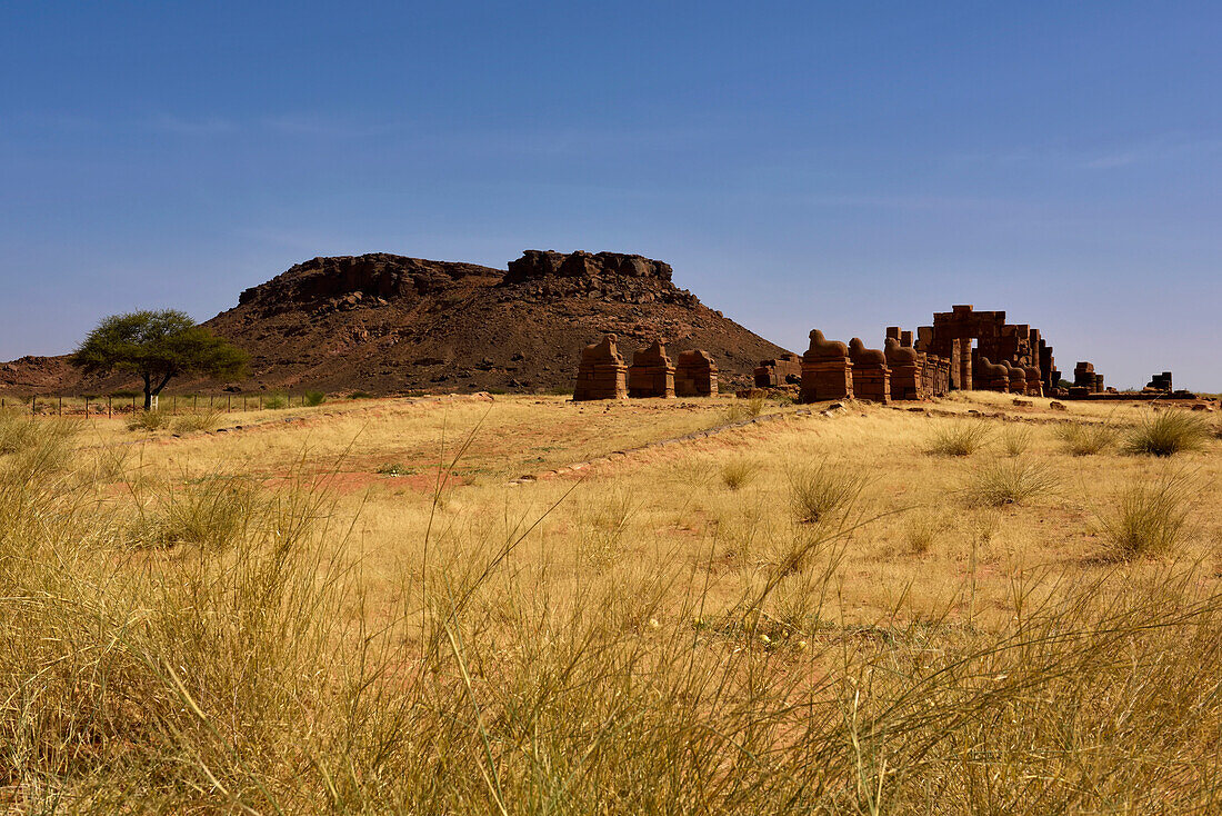 Ansicht des Amun-Tempels in Naqa; Naqa, Sudan, Afrika.