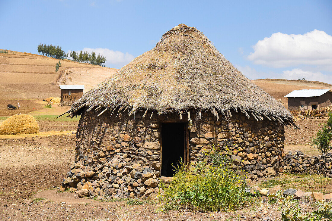 Afrikanische Rundhütte, traditionelle Behausung in ländlicher Umgebung; Äthiopien