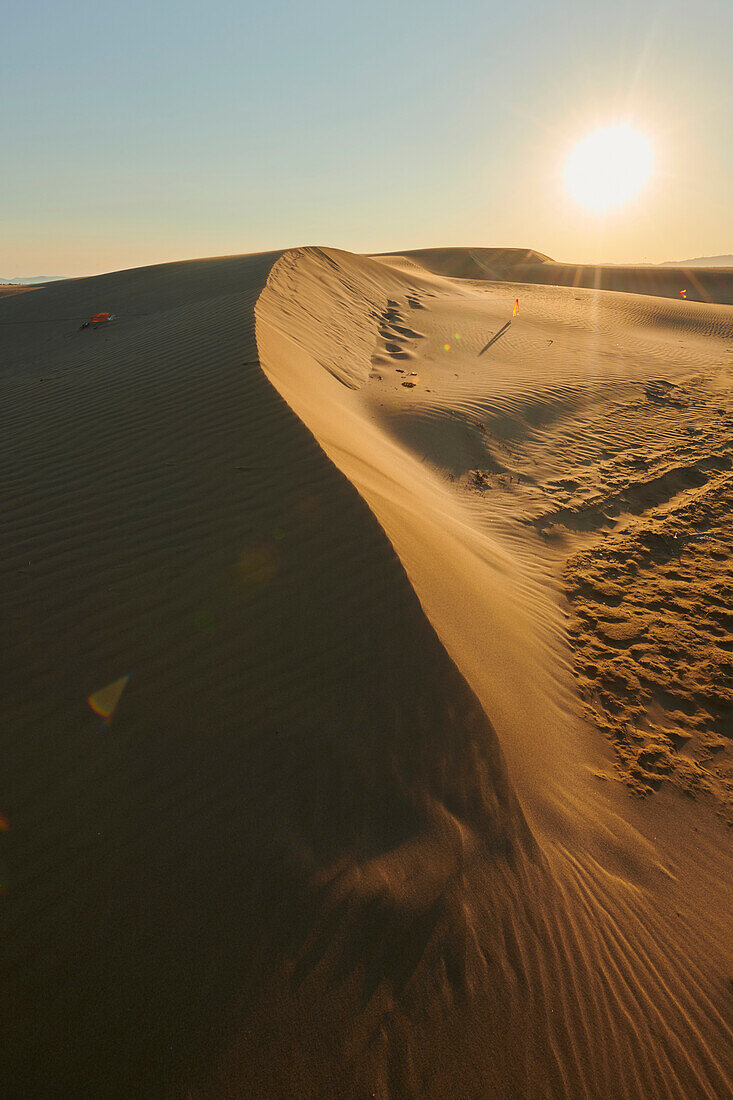 Sand dunes in the evening light at sunset, Ebro River Delta; Catalonia, Spain