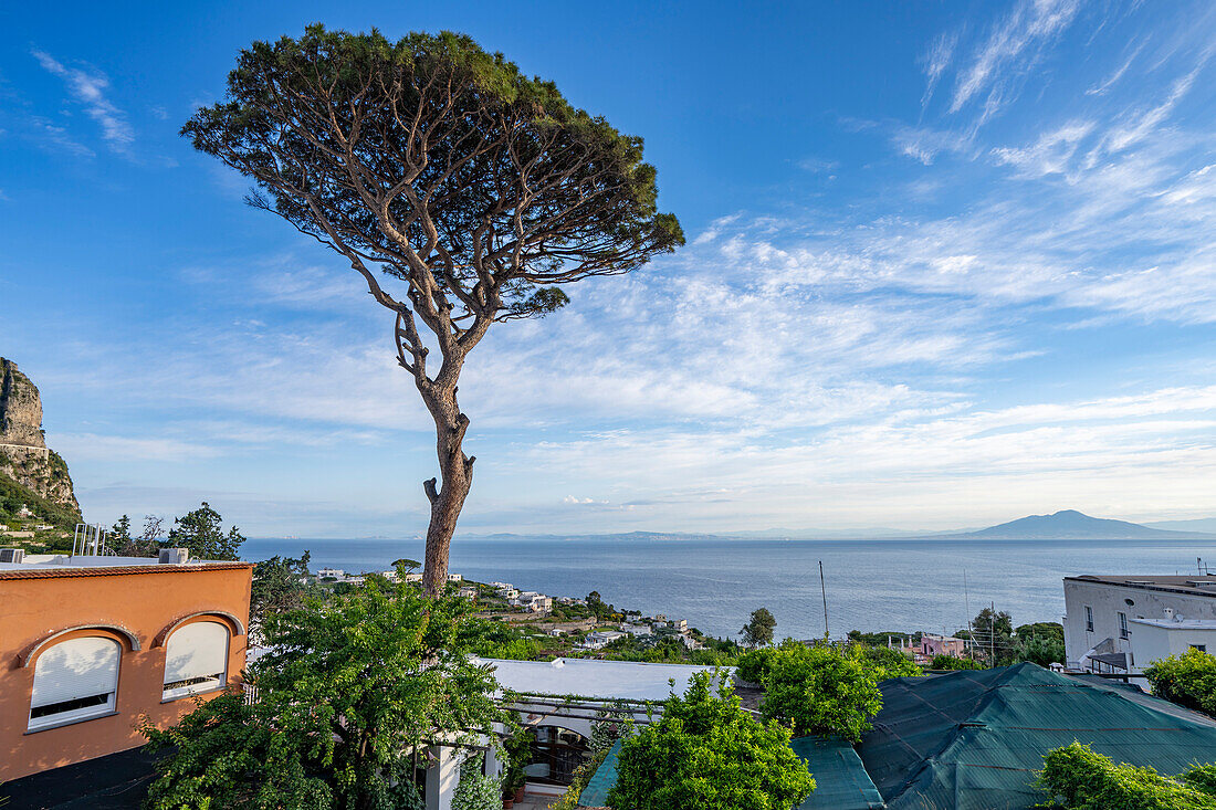 Blick auf die Küste des Tyrrhenischen Meeres und Capri-Stadt auf einem sattelförmigen Plateau hoch über dem Meer mit dem Hafen der Insel, Marina Grande, darunter; Neapel, Capri, Italien