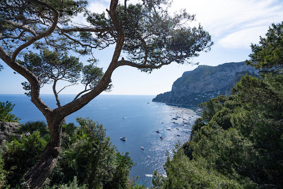 Blick auf die Faraglioni-Bucht mit Booten, die entlang des Ufers in der Bucht von Neapel vor der Insel Capri vertäut sind; Neapel, Capri, Italien