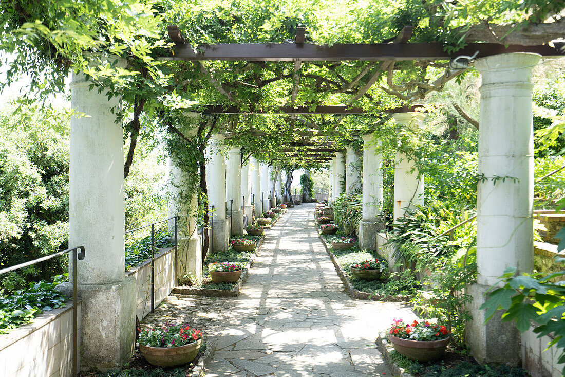 View through the pergola and walkway at Villa San Michele, 19th century villa built by Swedish physician and author Axel Munthe, Anacapri, on the Island of Capri; Naples, Capri, Italy