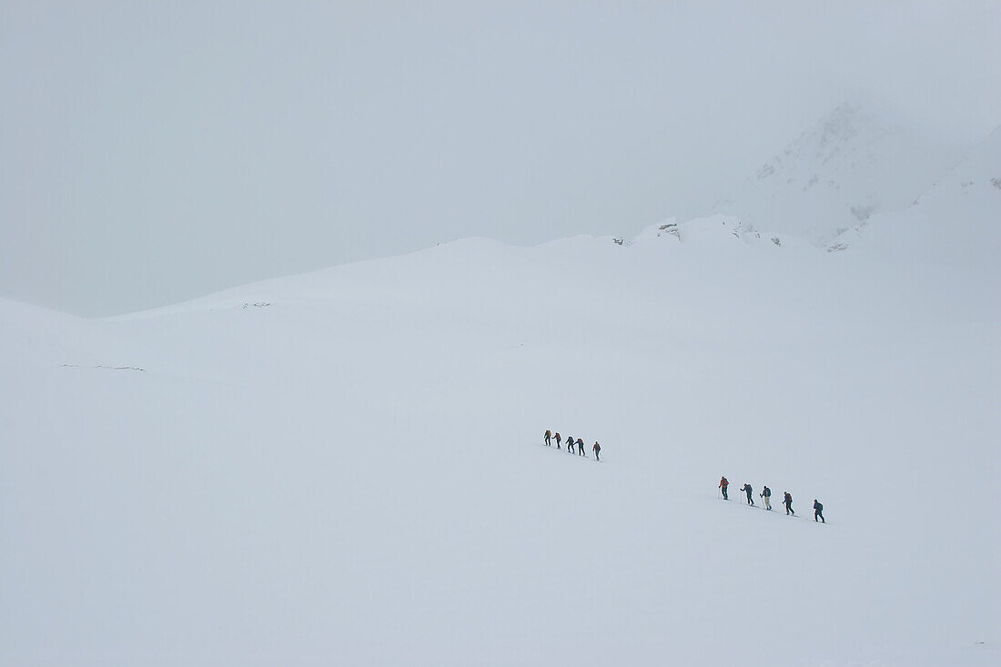 Eine Gruppe von Skitourengehern fährt bei schlechter Sicht bergauf; Selkirk Mountains, British Columbia, Kanada.