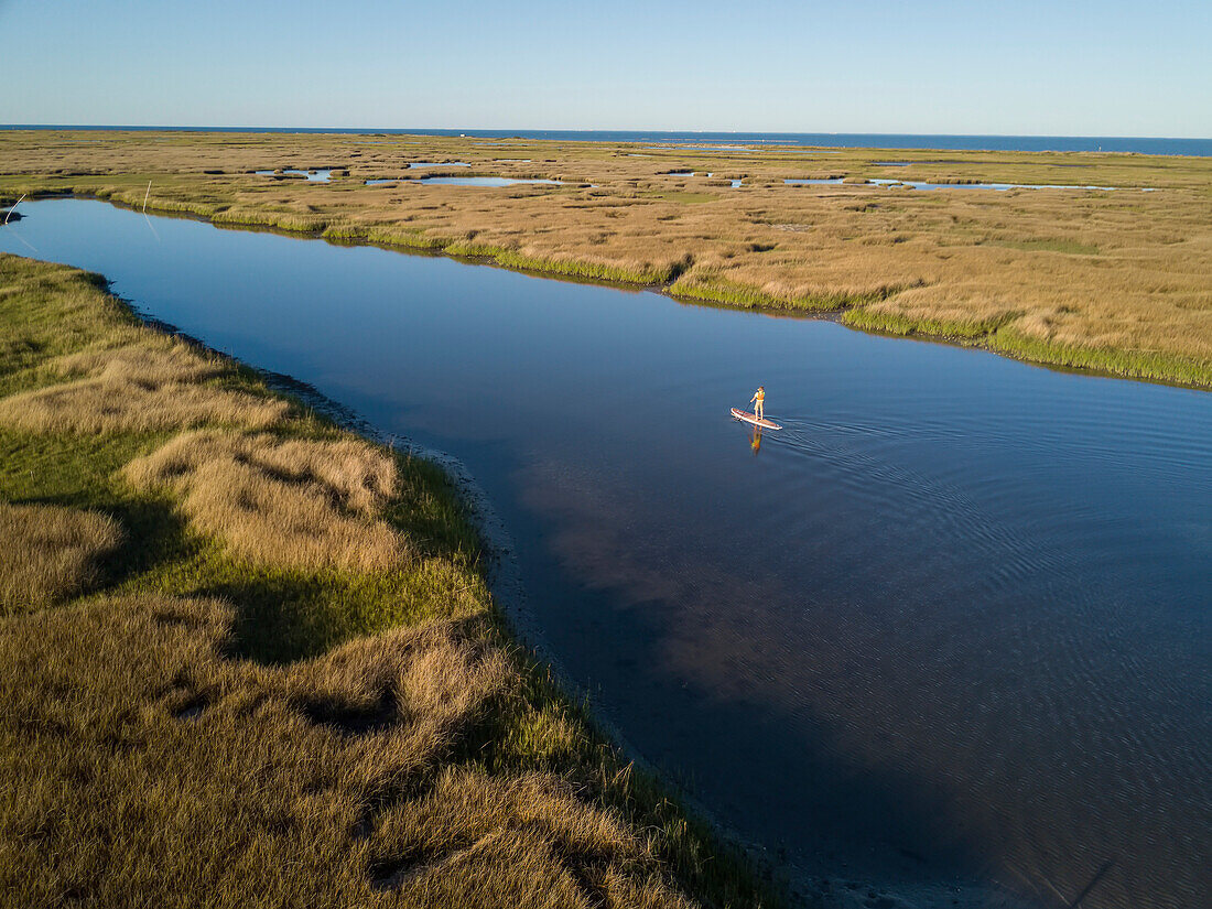 A stand up paddle boarder cruises through the salt marsh of the Plumtree National Wildlife Reserve near the lower Chesapeake Bay.; Poquoson, Virginia, USA.