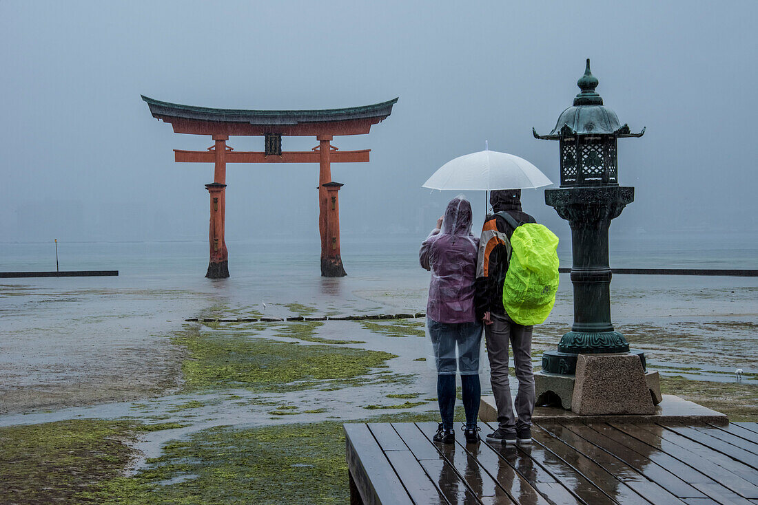 Blick von hinten auf ein Touristenpaar, das das Große Torii-Tor in Miyajima, offiziell Itsukushima genannt, betrachtet. Die kleine Insel liegt weniger als eine Stunde außerhalb der Stadt Hiroshima und ist vor allem für ihr riesiges Torii-Tor bekannt, das bei Flut auf dem Wasser zu schweben scheint. Die Sehenswürdigkeit gilt als eine der besten Aussichten Japans; Hiroshima, Japan