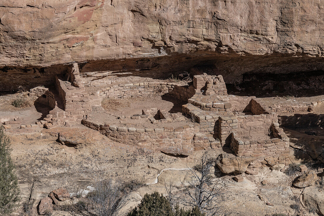 Ein Blick in die New Fire House Cliff Dwellings im Mesa Verde National Park; Mancos, Colorado, Vereinigte Staaten von Amerika