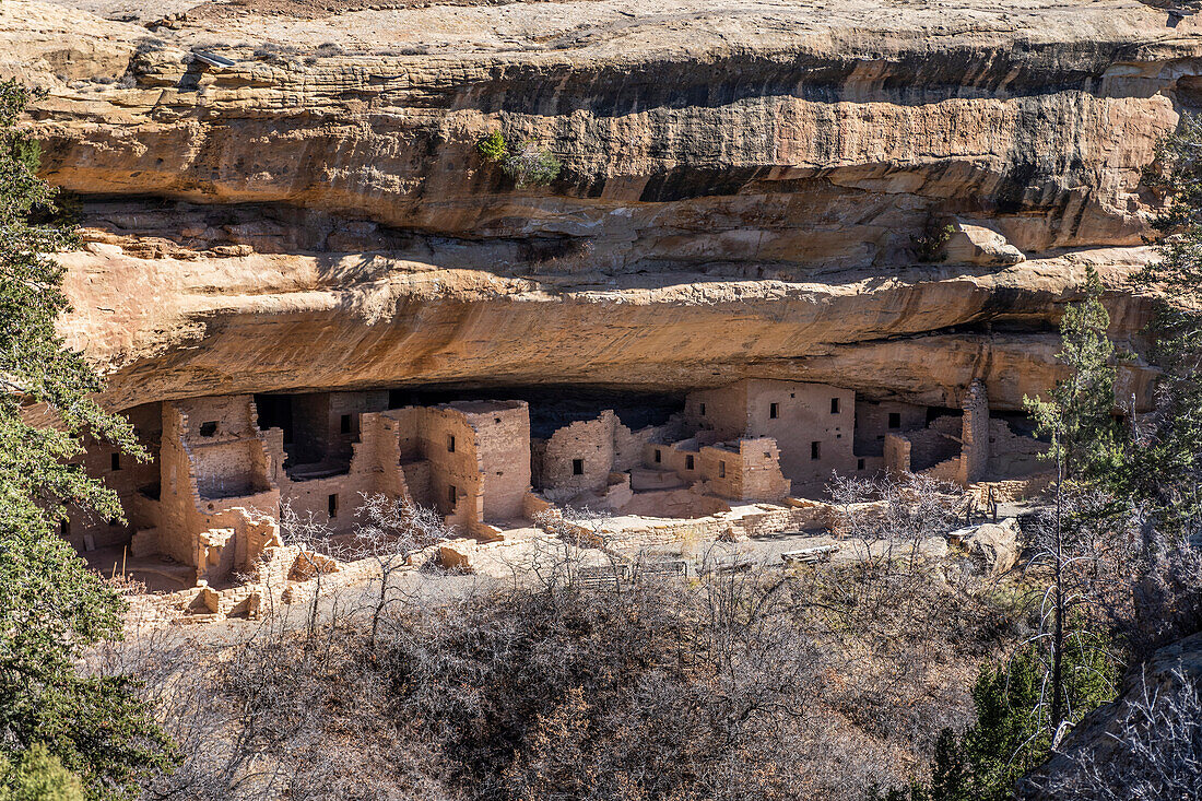 A look into the Spruce Tree House, Cliff Dwellings in the Mesa Verde National Park; Mancos, Colorado, United States of America