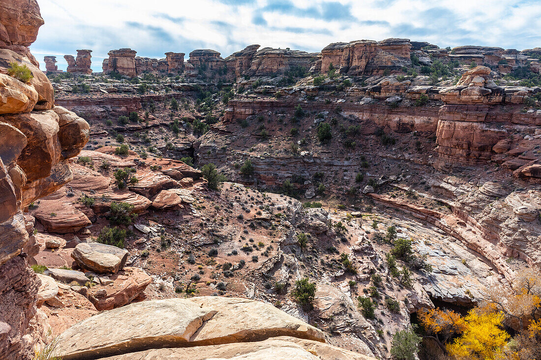 Ein Blick in den Big Spring Canyon im Canyonlands National Park mit wunderbarer Geologie; Blanding, Utah, Vereinigte Staaten von Amerika