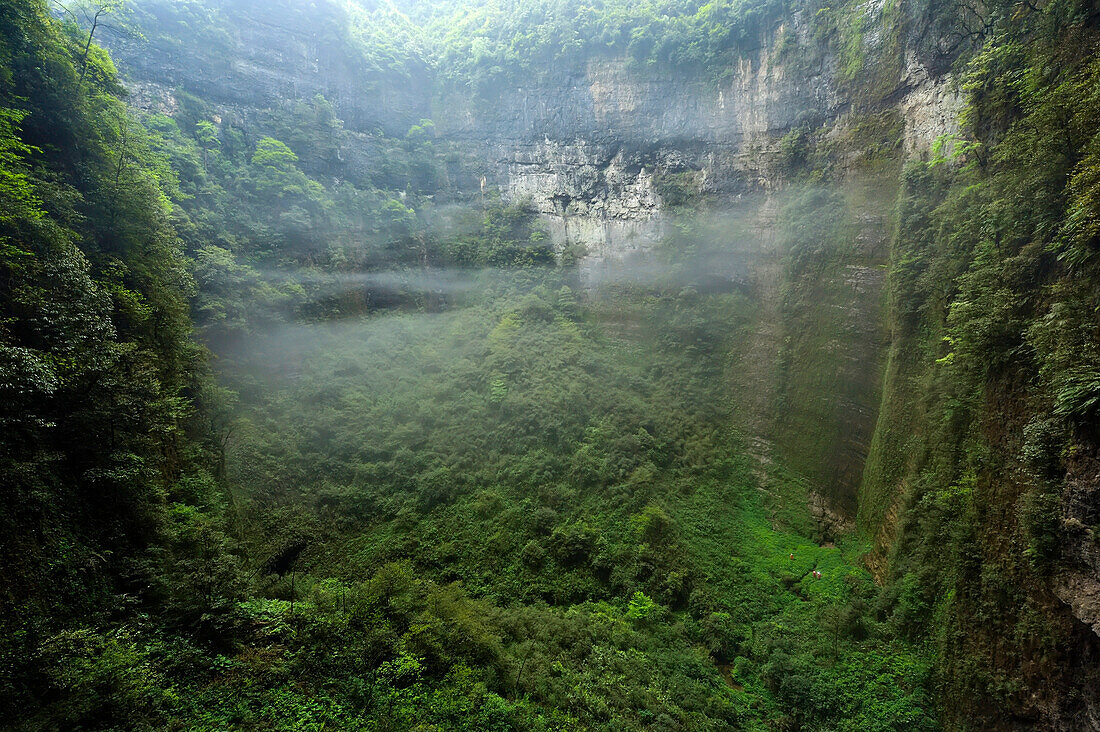 Drei Höhlenforscher auf dem stark bewachsenen Boden des Er Wang Dong-Höhlensystems; Wulong, Provinz Chongqing, China.