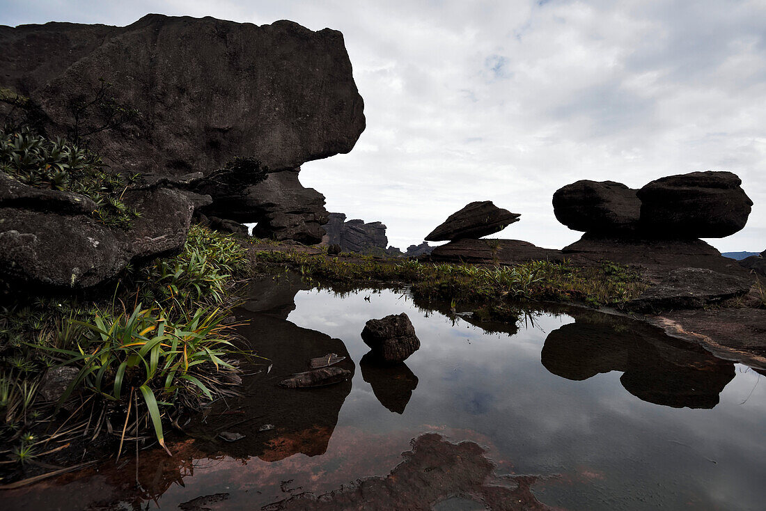 A pool of water on top of Auyan Tepui.; Gran Sabana, Venezuela.