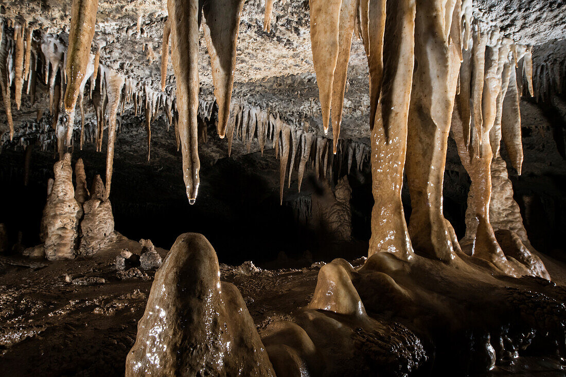 Winzige Wassertropfen kleben am Boden eines Stalaktiten in der Whiterock-Höhle; Gunung Mulu National Park, Sarawak, Borneo, Malaysia.