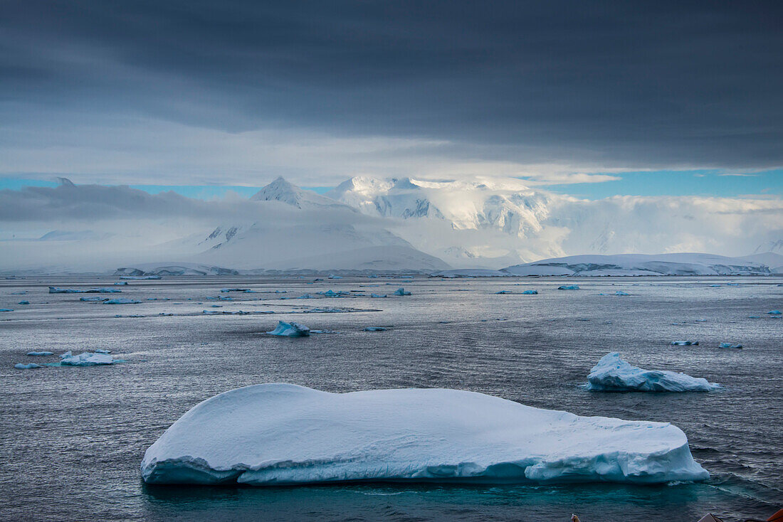 Icebergs floating in the Lemaire Channel with snow covered peaks in the distance; Antarctica
