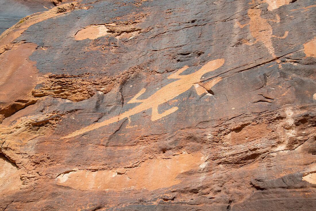 Ancient petroglyphs depicting lizards on a rock face in Dinosaur National Monument; Utah, United States of America