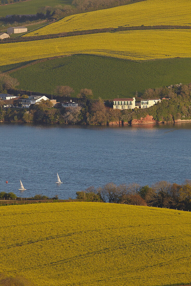 Picturesque farmland on rolling hills with sailboats and houses along the water's edge of the estuary of the River Teign, near the town of Teignmouth, in Devon, southwest England; Devon, England