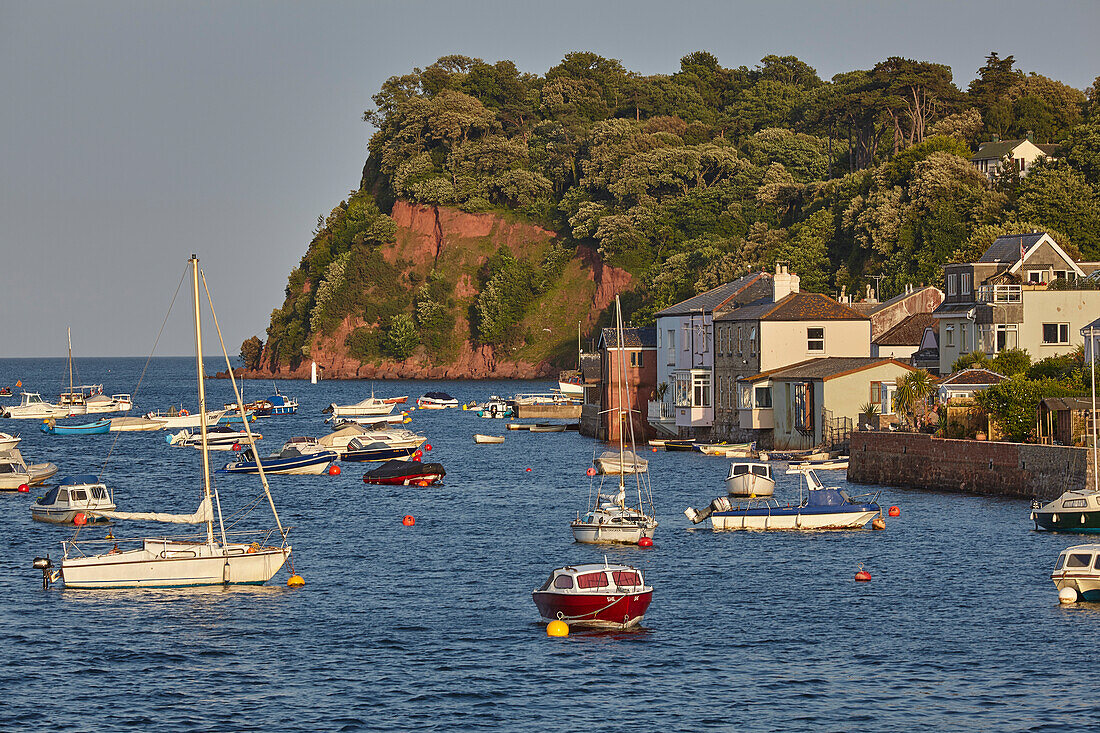 Moored boats fill the quaint harbour of Shaldon at the mouth of the River Teign, Devon, southwest England; Sheldon, Devon, England