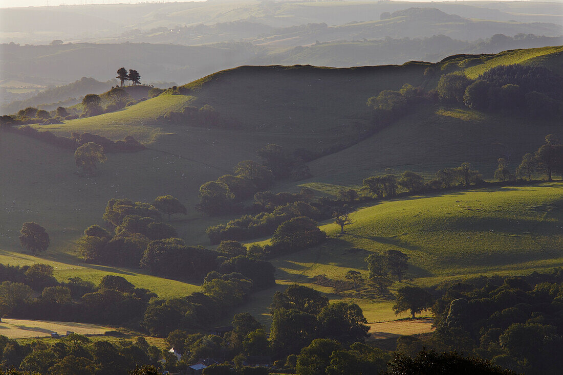 Landschaft um Morecombelake, Dorset, Großbritannien; Dorset, England