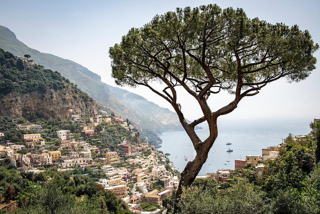 Panoramablick auf den Badeort Positano von einem Aussichtspunkt am Berghang entlang der Amalfiküste; Positano, Salerno, Italien
