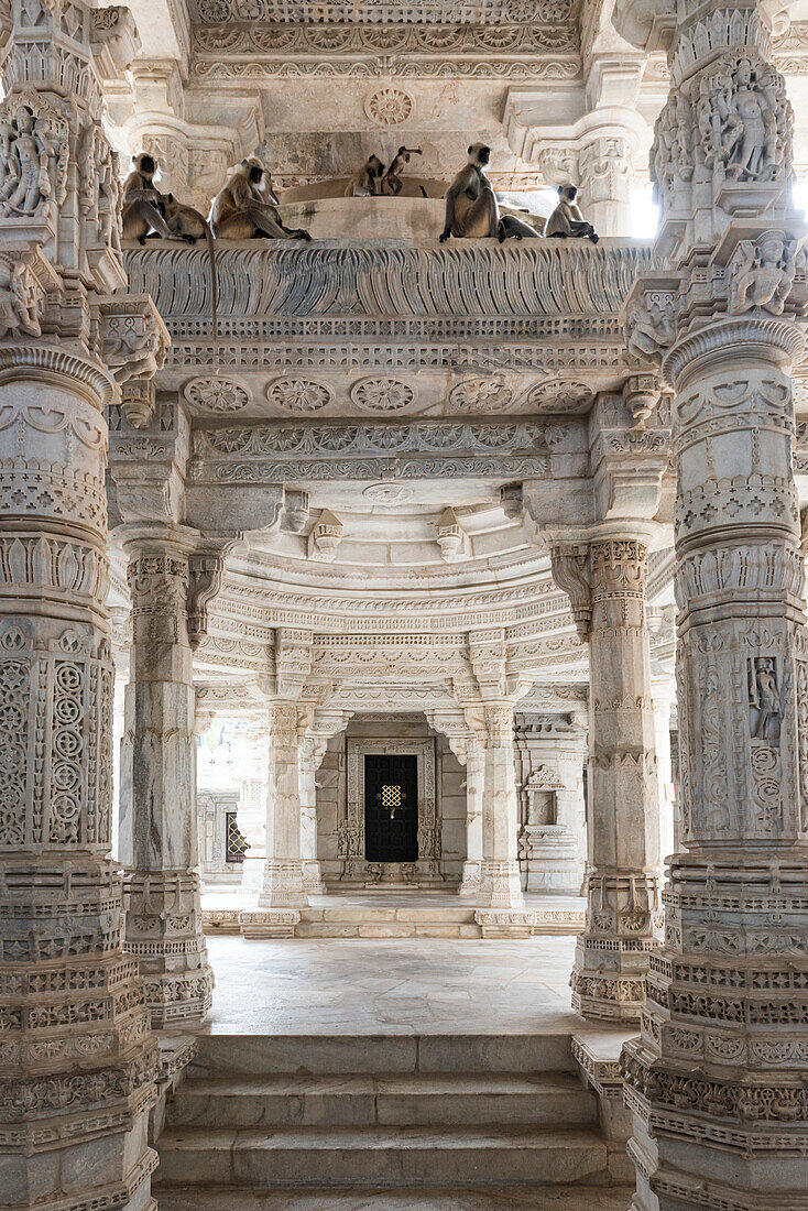 Monkeys resting inside on an intricately carved, interior balcony at the Jain Temple at Ranakpur; Ranakpur, Rajasthan, India