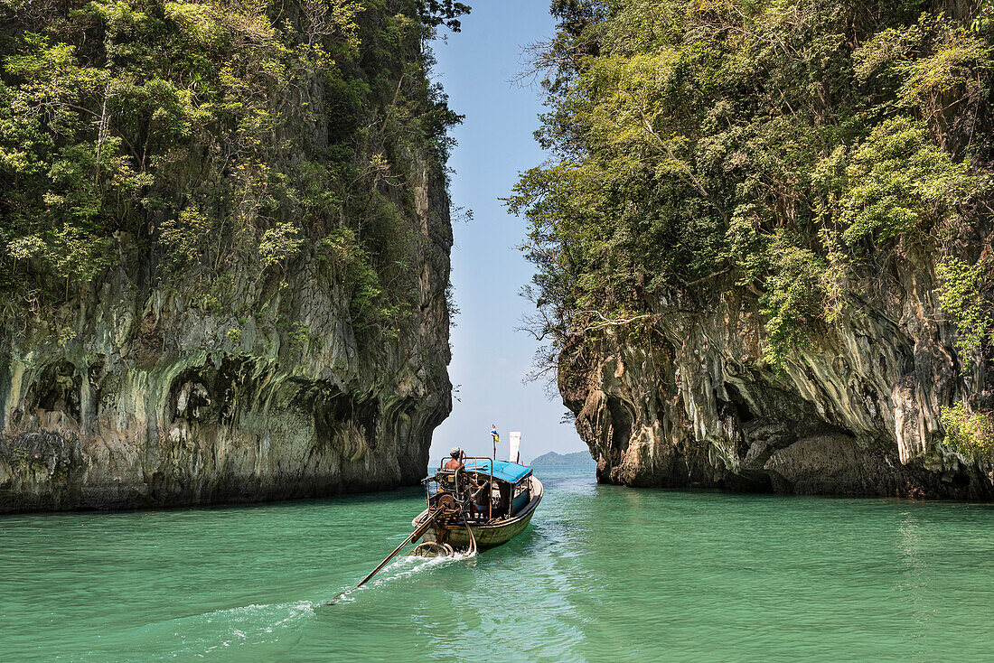 Traditionelles, thailändisches Longtail-Boot, das durch das grüne, türkisfarbene Wasser zwischen zu großen, karstigen Felsformationen fährt; Phang Nga Bay, Thailand