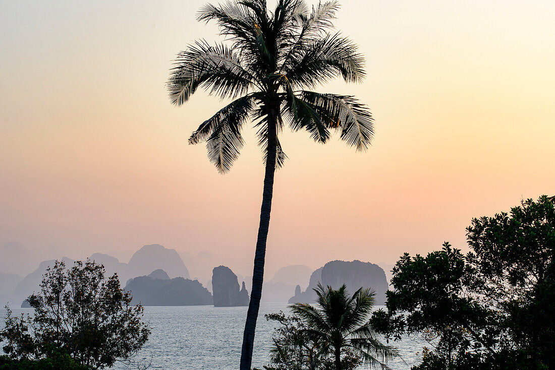 Silhouette of palm trees and karst rock formations overlooking the bay; Phang Nga Bay, Thailand