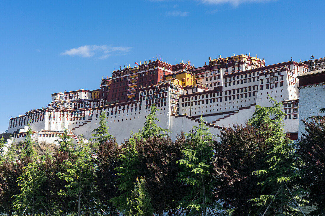 View of the Potala Palace, once the Winter Palace of the Dalai Lamas, with a bright blue sky and trees in the foreground; Lhasa, Tibetan Autonomous Region, Tibet