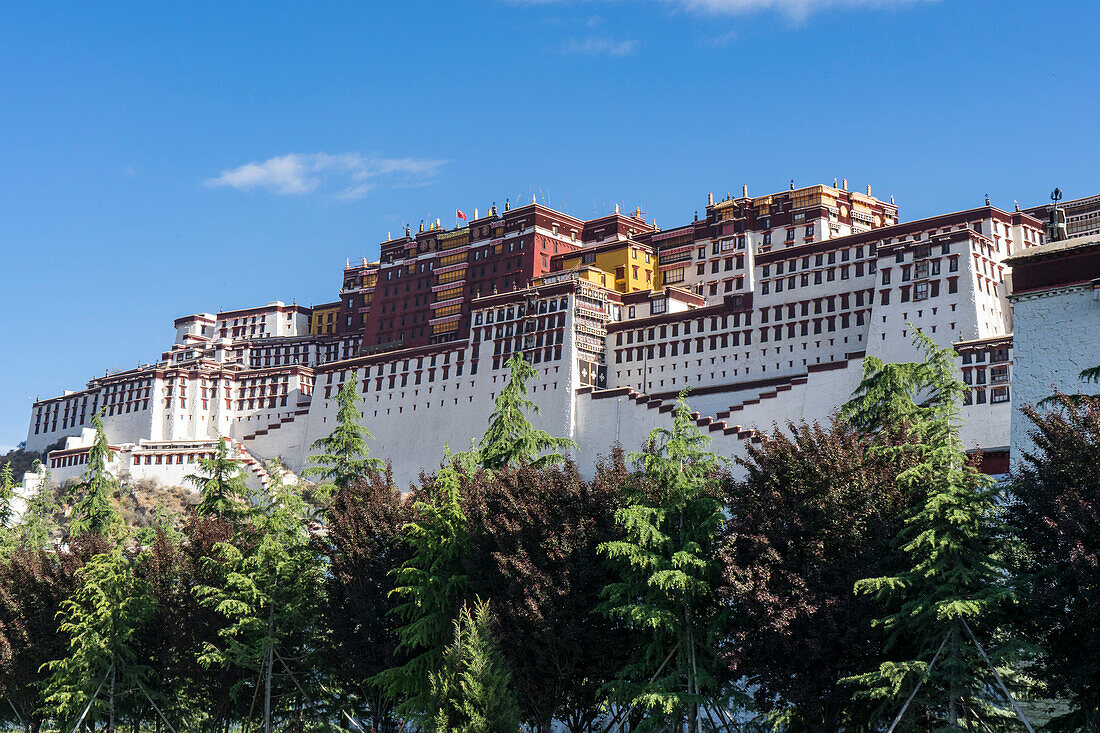 View of the Potala Palace, once the … – License image – 13884965 lookphotos