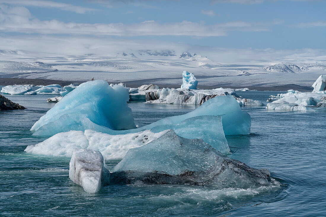 Icebergs floating in the glacial lagoons of southern Iceland; Iceland