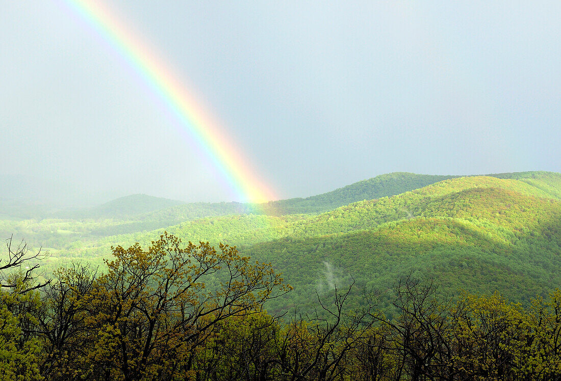 Ein großer Regenbogen über dem Shenandoah Valley am späten Nachmittag; Shenandoah National Park, Virginia.