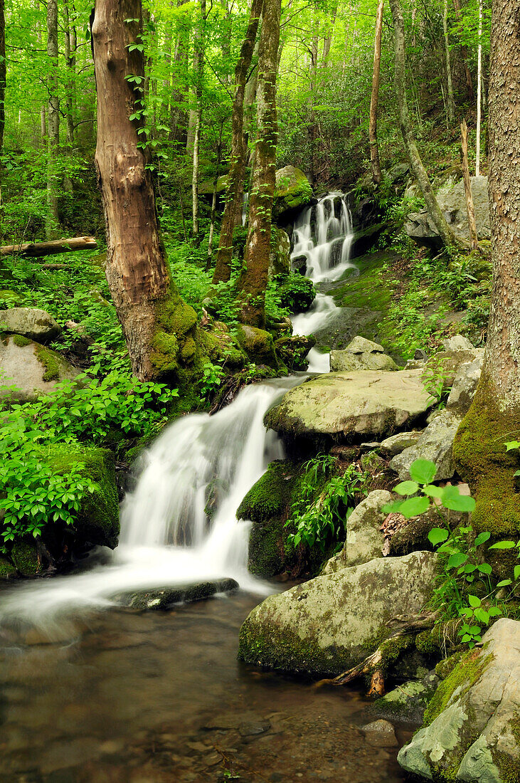 Scenic view of a Smoky Mountains waterfall and forest.; Little River, Great Smoky Mountains National Park, Tennessee.