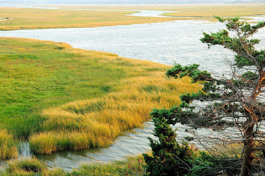 Landschaftlicher Blick auf einen Salzsumpf im Cape Cod National Seashore; Cape Cod National Seashore, Eastham, Massachusetts.