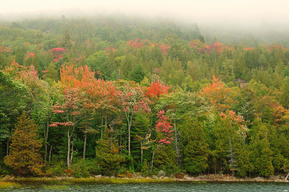 Herbstlicher Blick auf den Wald bei Bubble Pond im Acadia National Park; Acadia National Park, Mount Desert Island, Maine.