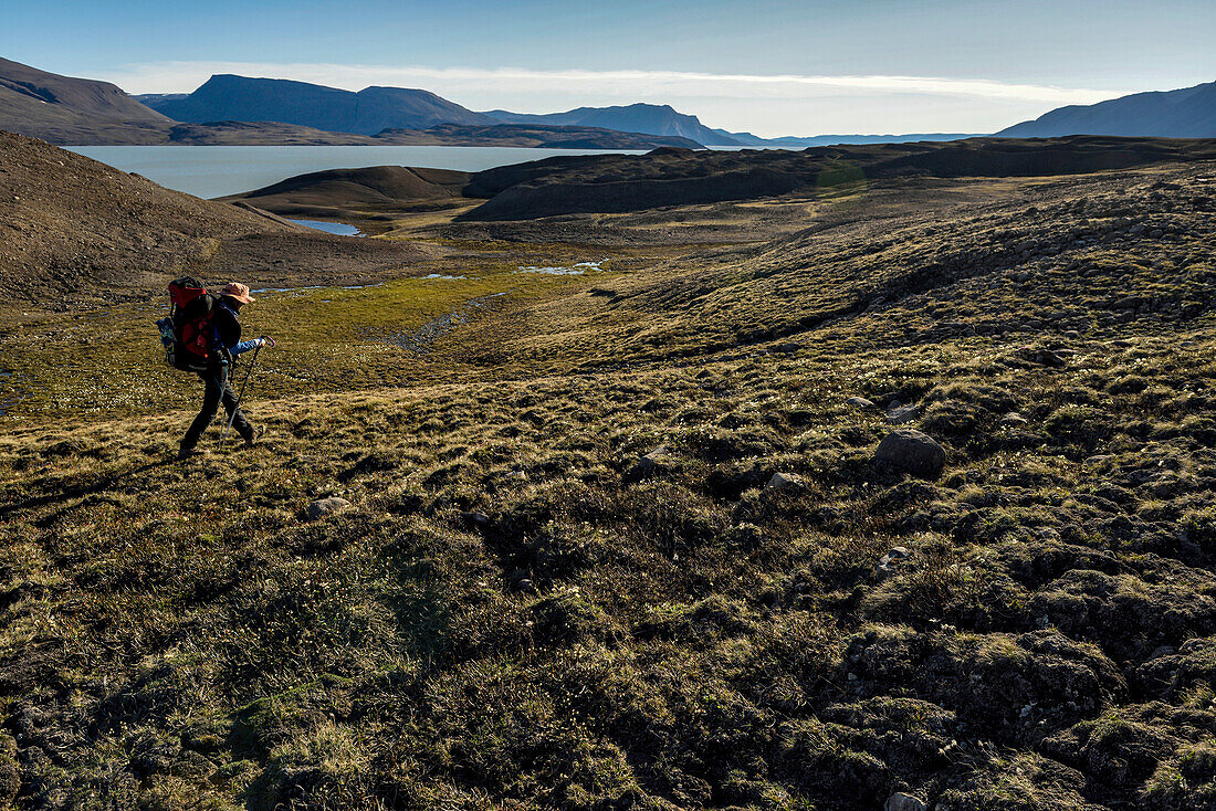 Walking the final stages of the hike resulted in 104km covered with bags weighing in at 25kg. A female expedition team member has the end in sight. With lake Centrum is just around the corner, she strites forward and marches on to base camp passing a patch of small yellow wild flowers.