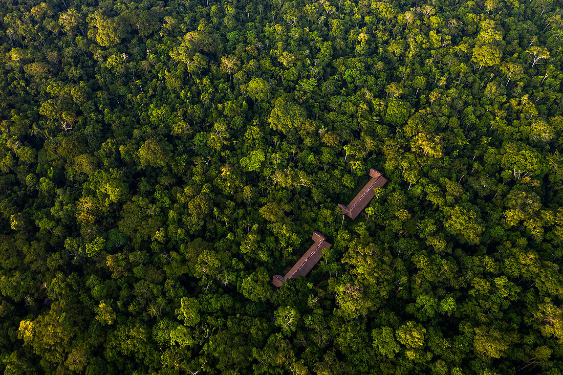 Luftaufnahme des Tambopata-Forschungszentrums und des umliegenden Regenwaldes im Tambopata-Nationalreservat; Puerto Maldonado, Madre de Dios, Peru