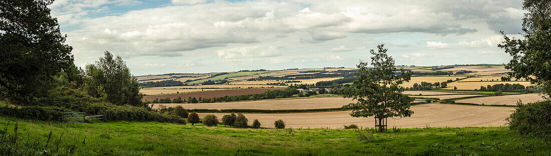 Scenic view of green croplands and wheat fields in the countryside around Rockbourne, near Salisbury, under a cloudy sky; Wiltshire, England