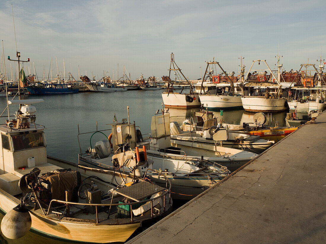 View of moored fishing boats in the late afternoon light; Porto San Giorgio, Marche, Italy