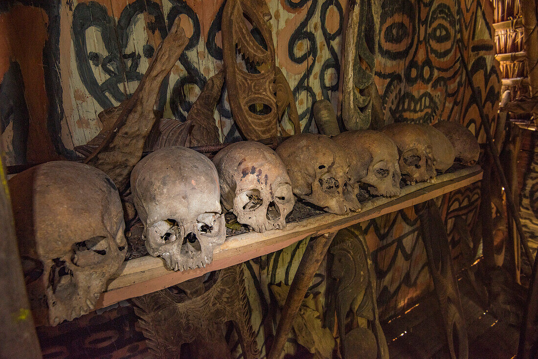 Close-up of human skulls on display in a Spirit House in Karawari in the Sepik area of Papua New Guinea. This is part of the Yokoim tribe, which was at one point a cannibal tribe; Sepik, Papua New Guinea