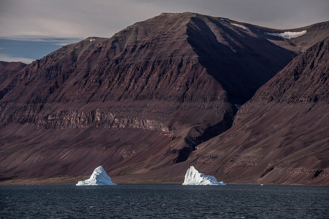 Small icebergs floating in Greenland's Kaiser Franz Joseph Fjord; East Greenland, Greenland