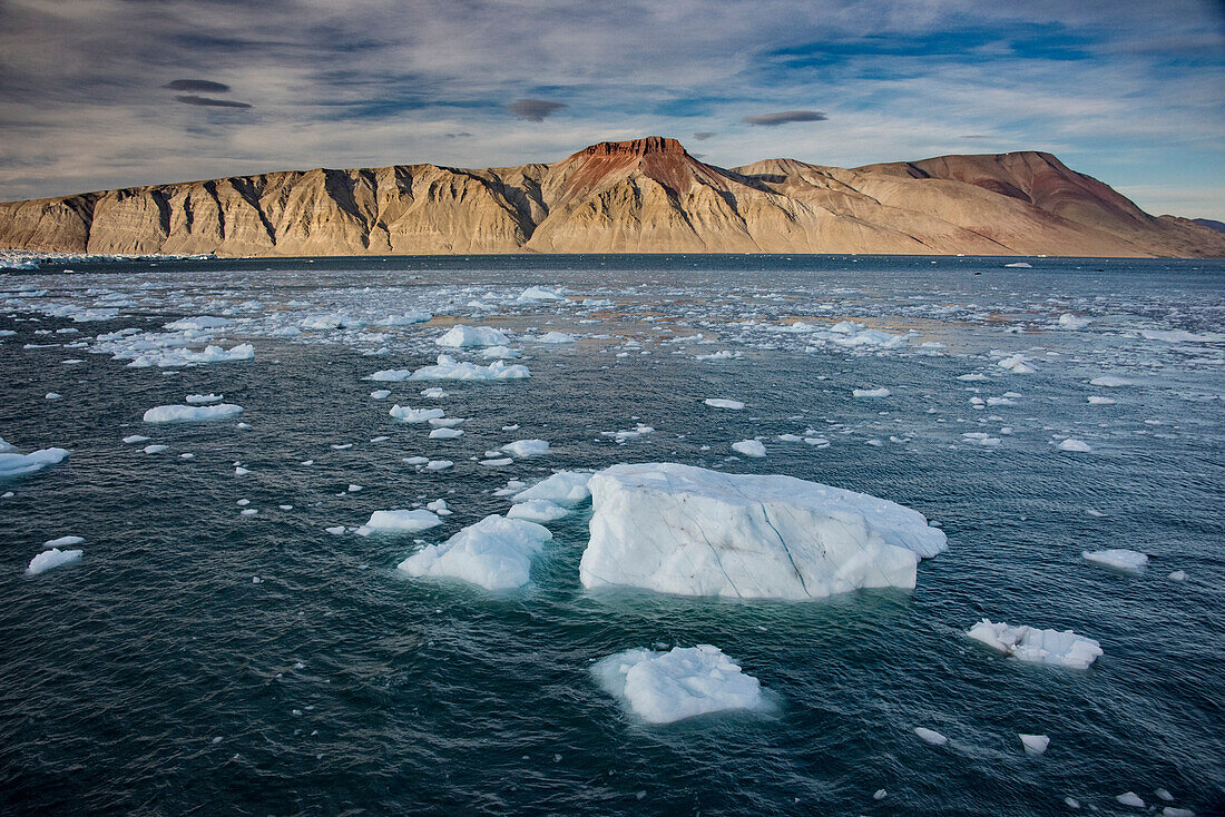 Kleine Eisberge und Brummer treiben im eisigen, graublauen Wasser des grönländischen Kaiser-Franz-Joseph-Fjordes; Ostgrönland, Grönland