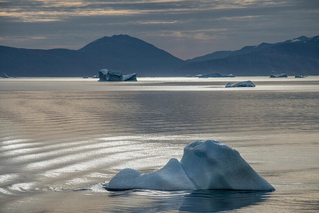 Icebergs floating in the calm waters of the Kong Oscar Fjord with sunlit ripples and silhouetted mountains; East Greenland, Greenland
