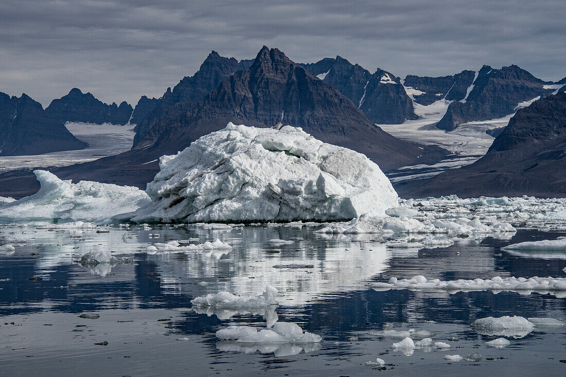 Eisberg im grönländischen Nansen Fjord; Grönland