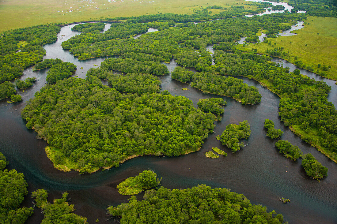 Salmon spawn in Kronotsky Nature Reserve's clear running rivers; Kronotsky Zapovednik, Kamchatka, Russia