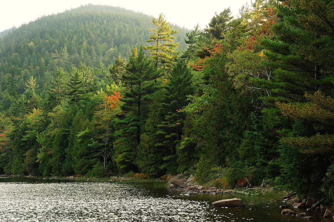 Bubble Pond and surrounding forest and hills in autumn.; Acadia National Park, Mount Desert Island, Maine.