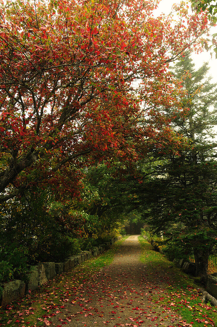 Scenic walkway alongside Long Pond in the fall.; Acadia National Park, Mount Desert Island, Maine.