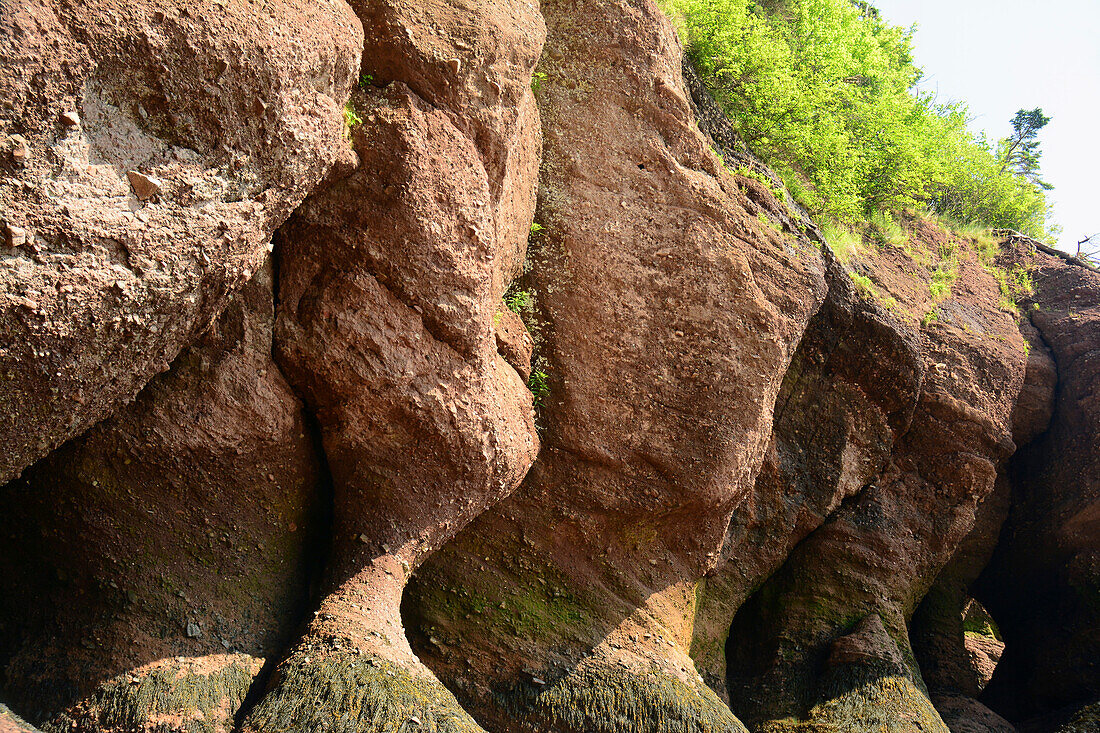 Felsformationen an der Hopewell Rocks Ocean Tidal Exploration Site; Hopewell Rocks Ocean Tidal Exploration Site, Hopewell Cape, New Brunswick, Kanada.