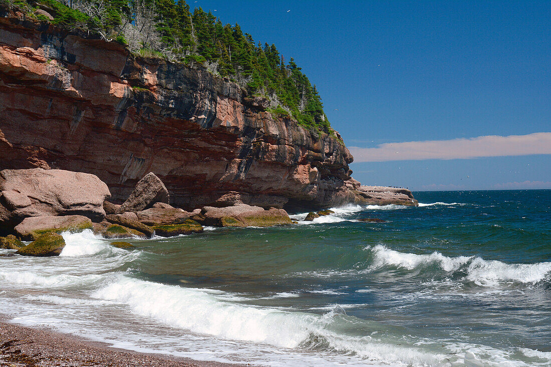 A scenic view of the rocky coastline of Bonaventure Island and the Gulf of Saint Lawrence.; Ile Bonaventure et du Rocher-Perce National Park, Gaspe Peninsula, Quebec, Canada.