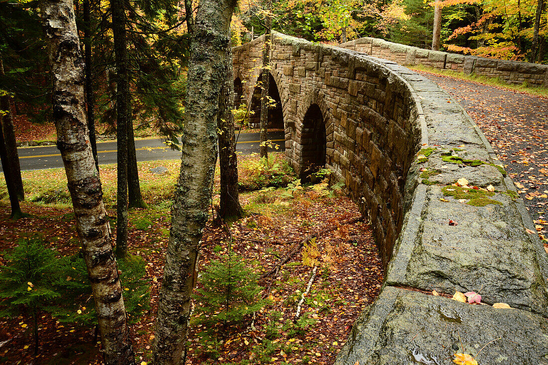 Scenic view of fall foliage and a carriage road bridge near Seal Harbor.; Acadia National Park, Mount Desert Island, Maine.