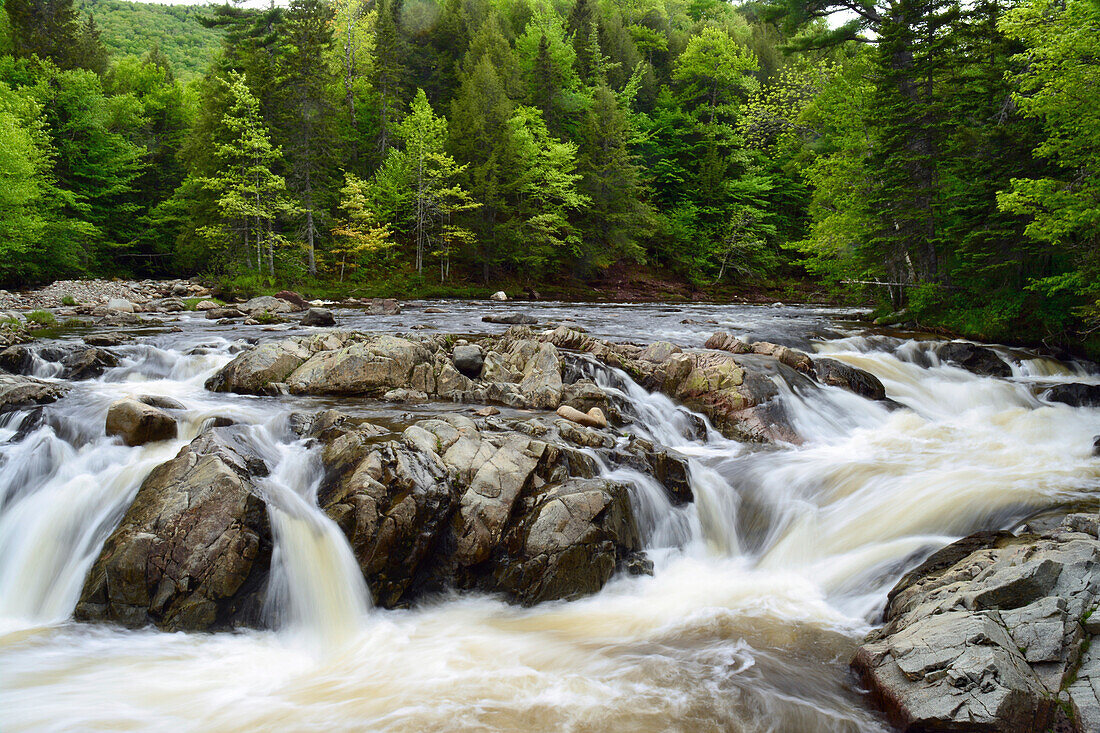 Little Falls on the North River, Cape Breton, Nova Scotia.; Little Falls, North River, Cape Breton, Nova Scotia, Canada.