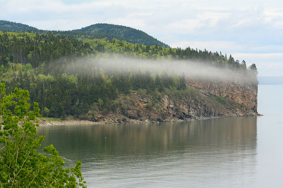 A layer of fog hovers over a cove along the Bay of Fundy at high tide.; Alma, Bay of Fundy, Fundy National Park, New Brunswick, Canada.
