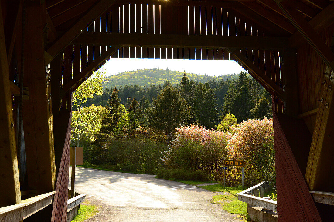 View of Fundy National Park from inside the Point Wolfe covered bridge.; Alma, Fundy National Park, New Brunswick, Canada.